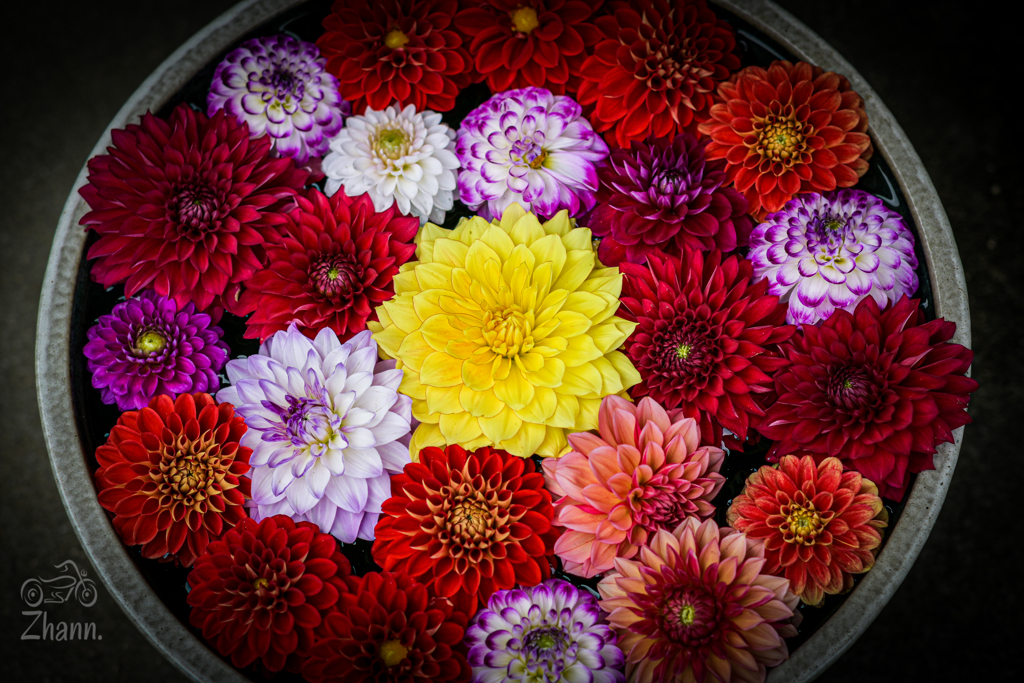 花鉢。