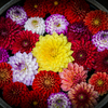 花鉢。
