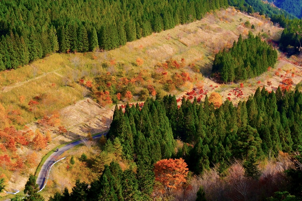 秋の高原