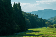 山畑を行く