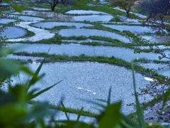 田園風景