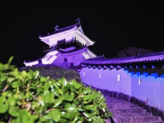 徳川家康ゆかりの地　掛川城