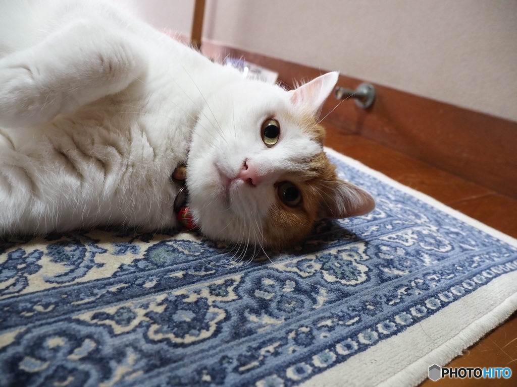 寝る