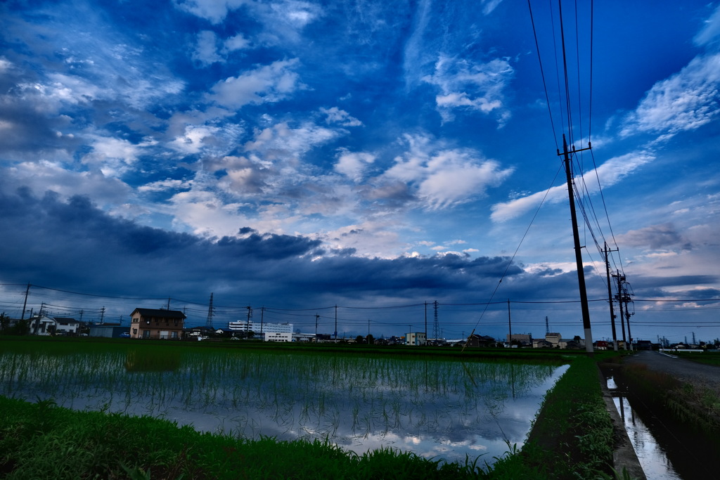 梅雨ですね