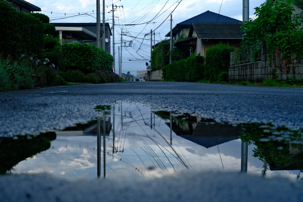 水たまりから見る青空