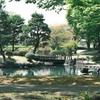 近くの公園で。