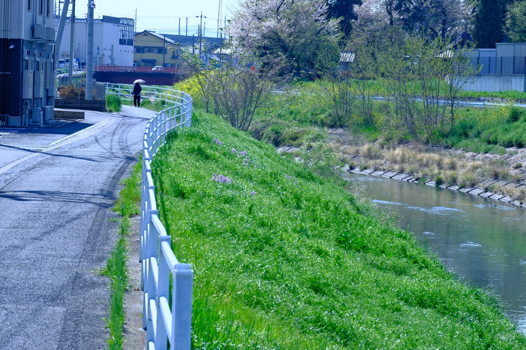 春の小川