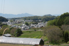 明日香