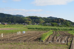 IMG_4622 (2)