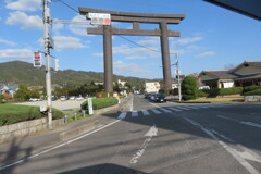 sakurisunsa