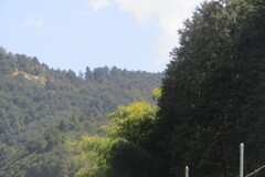 山野里