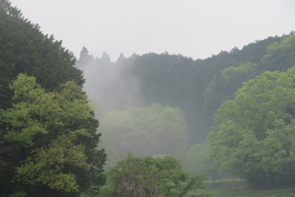 桜井市