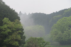桜井市