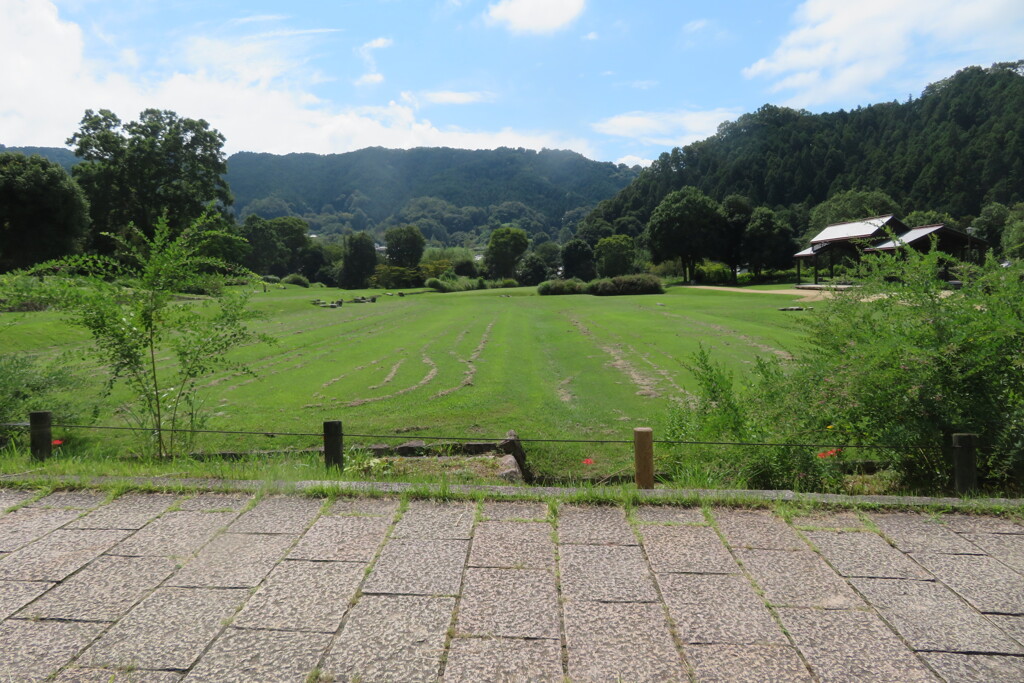IMG_0062 (2)