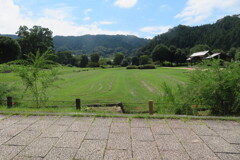 IMG_0062 (2)