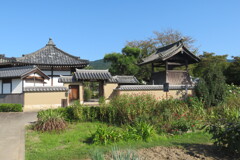 明日香Tela