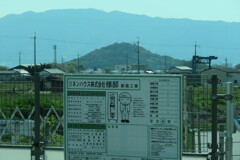 ㎜nashi