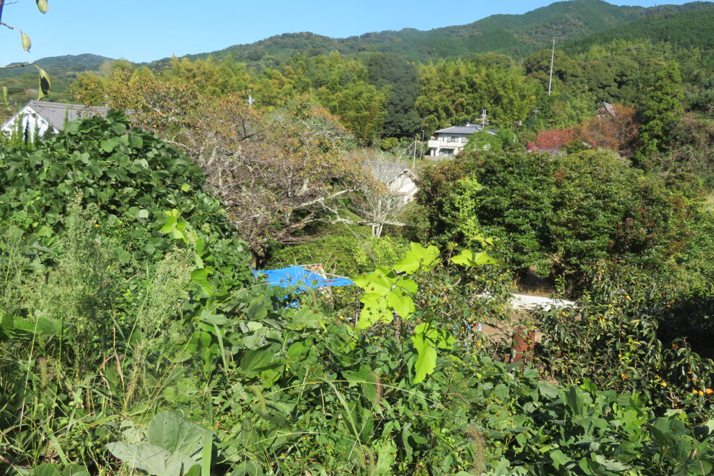 IMG_0507 (4)