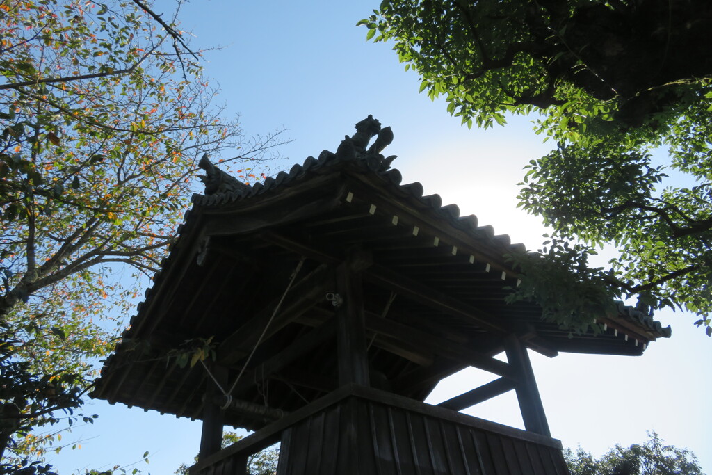 明日香村しぉろ