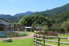 IMG_0159 (2)