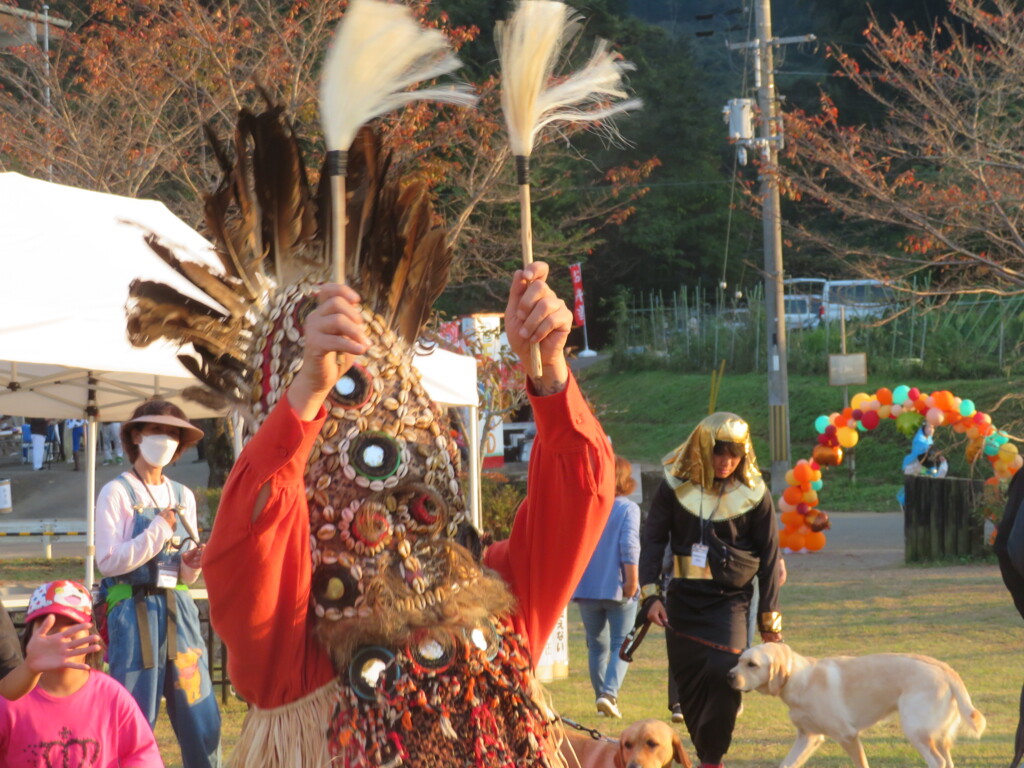 アフリカのまい