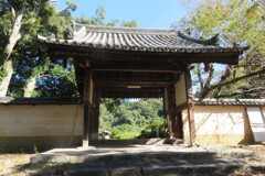 IMG_0480 (4)
