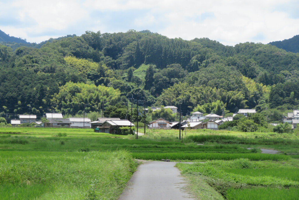 シルクロードへ夏