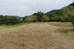 IMG_0255 (3)