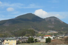 IMG_1139 (2)