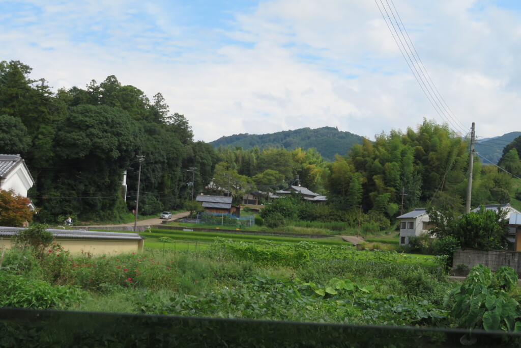 大和オリエント