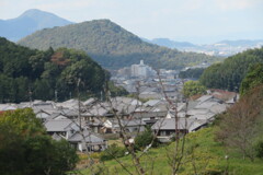 明日香iifuuki