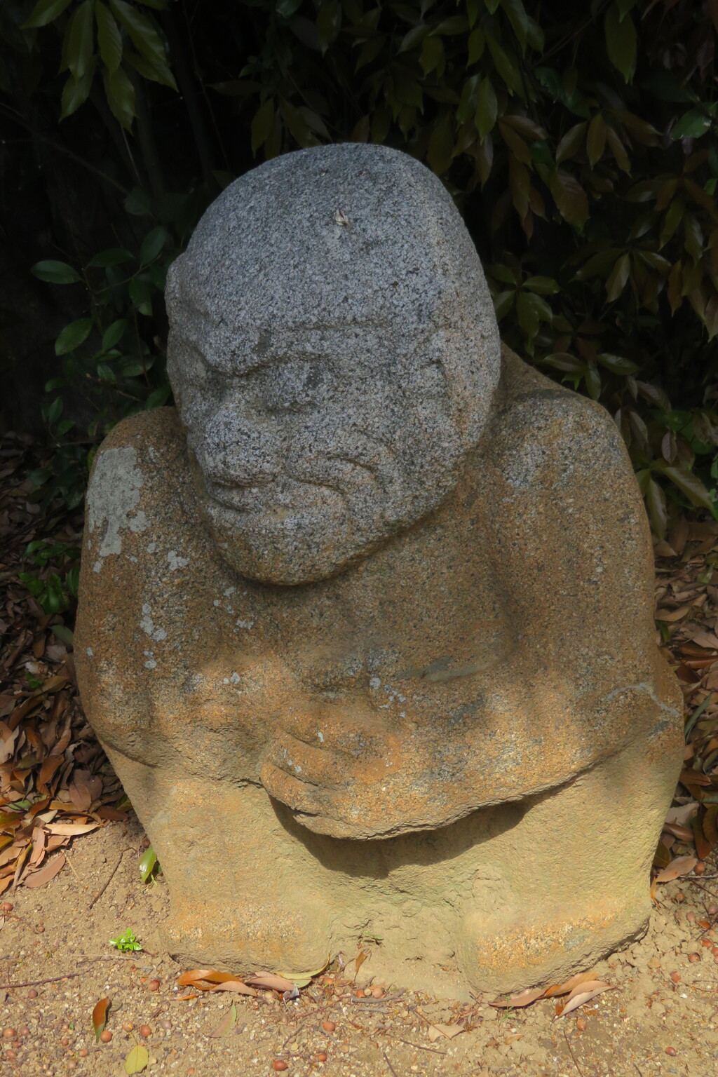 Iasukasaruisi