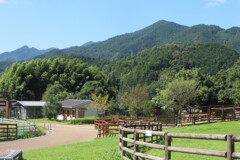 奈良県槙原