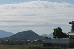 うなびやまこけい