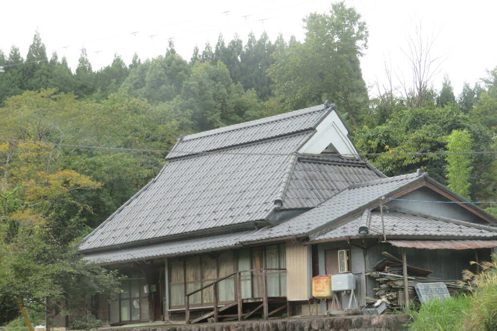 IMG_0281 (2)
