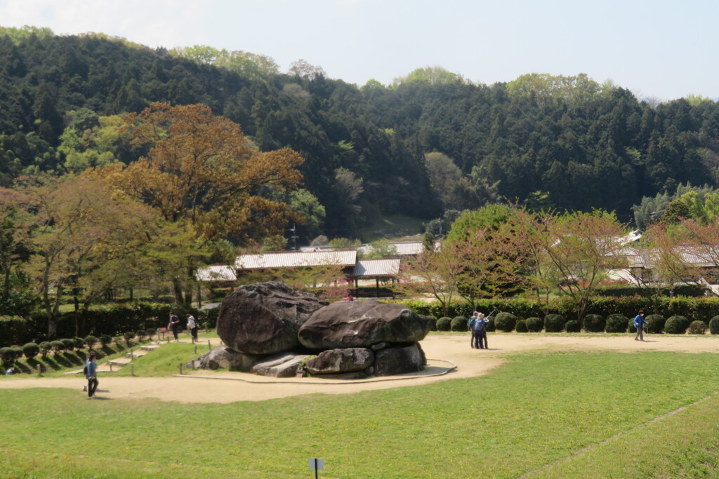 IMG_9786 - コピー