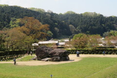 IMG_9786 - コピー