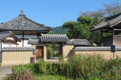 明日香tera