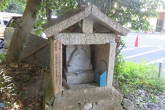 IMG_0508 (4)