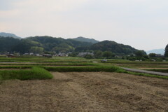 IMG_5068 (5)