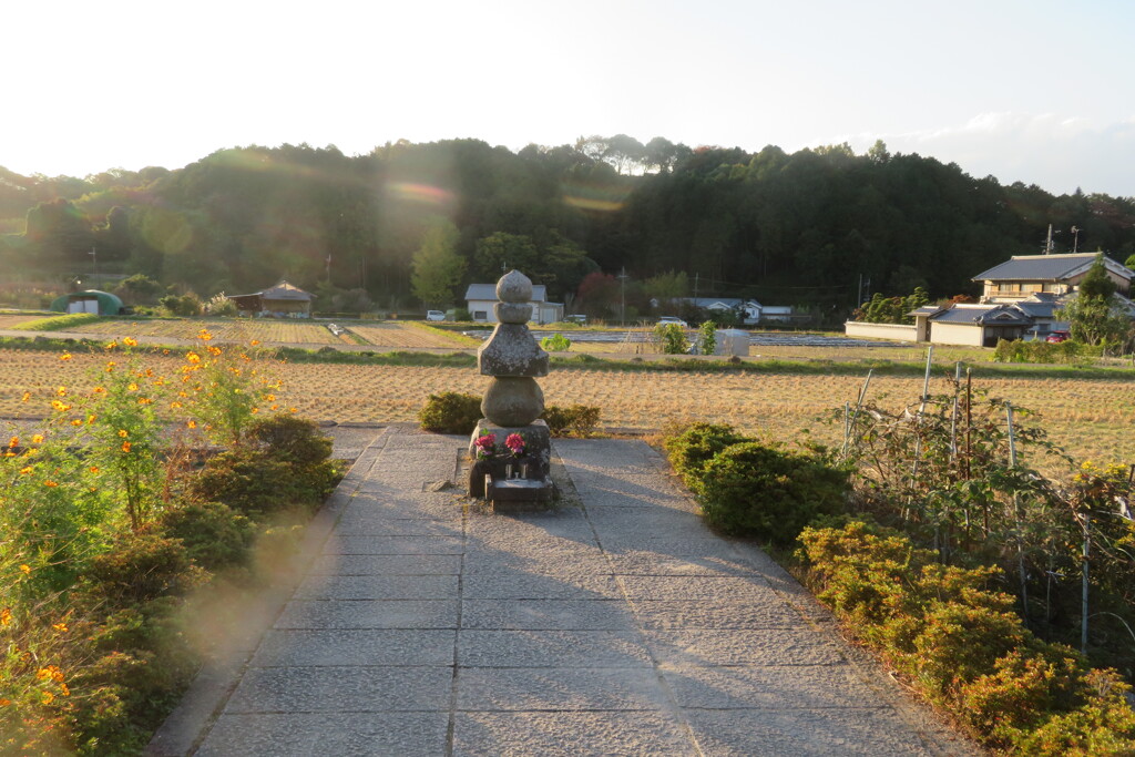 明日香村祐久；