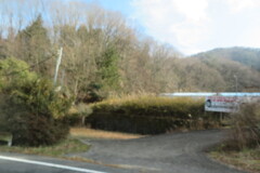 IMG_1116 (2)