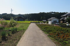 明日香村道