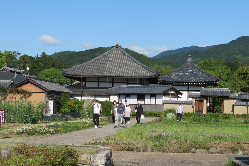 IMG_4616 (3)