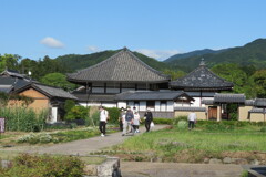 IMG_4616 (3)
