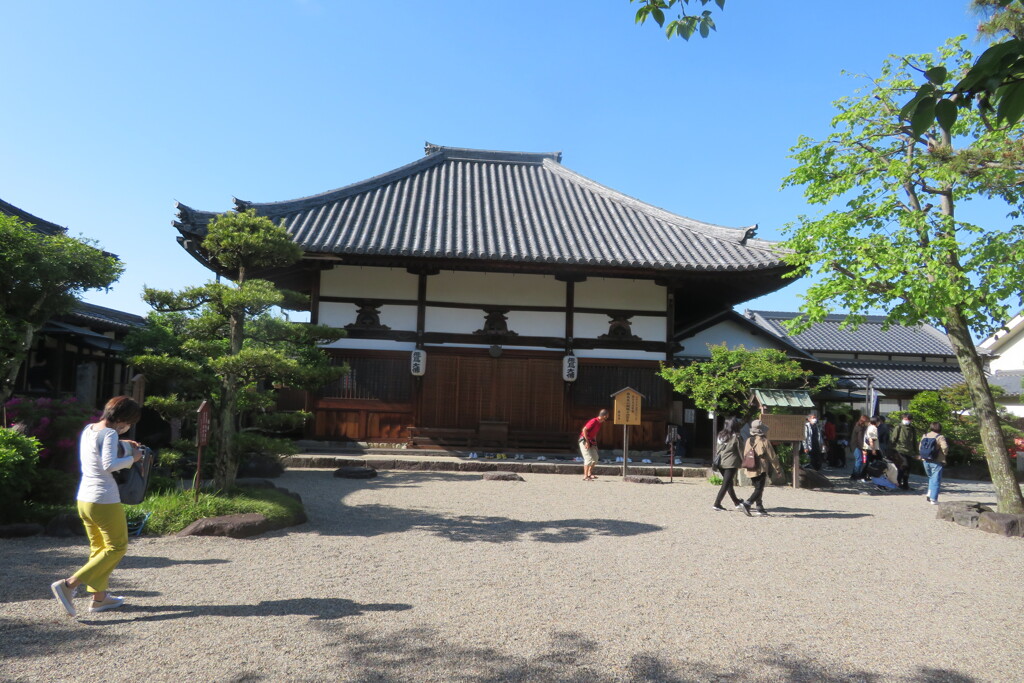 IMG_4593 (3)
