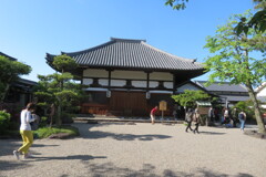 IMG_4593 (3)