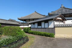 明日香かsa