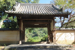 IMG_0500 (4)