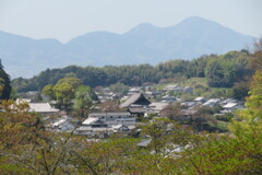 IMG_9778 - コピー - コピー - コピー